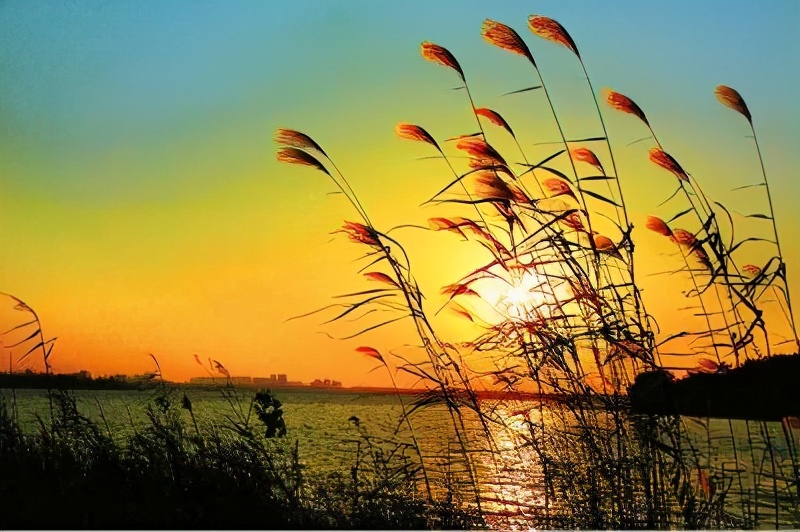 快乐王子：真正的爱情并非忘乎所以，互相成就才是道理