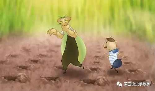 菜园虫虫学数学：种豆苗（植树问题）