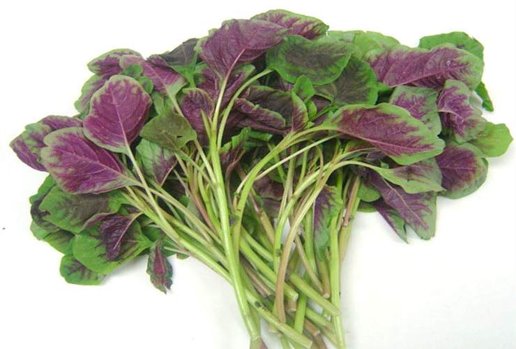 推荐高钙牛奶和钙片,补钙长高喝奶粉还是吃钙片