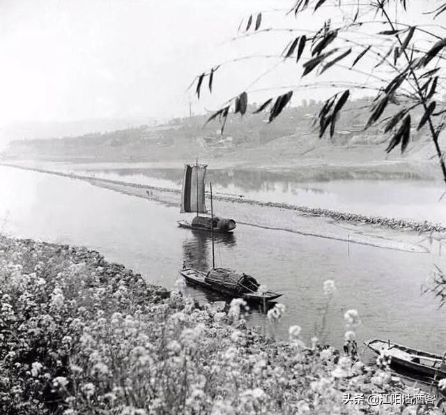 陈忠和经历,陈中和经济人