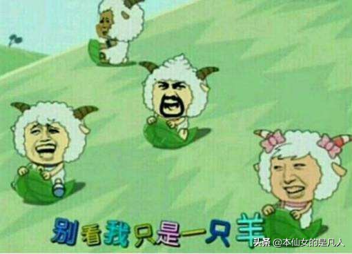 十大童年回忆网页游戏,18岁适合玩的网页游戏大全