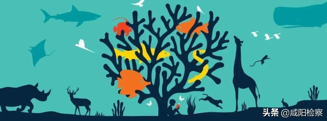 2018年最高人民检察院1号检察建议,人民检察院检察建议规则解读