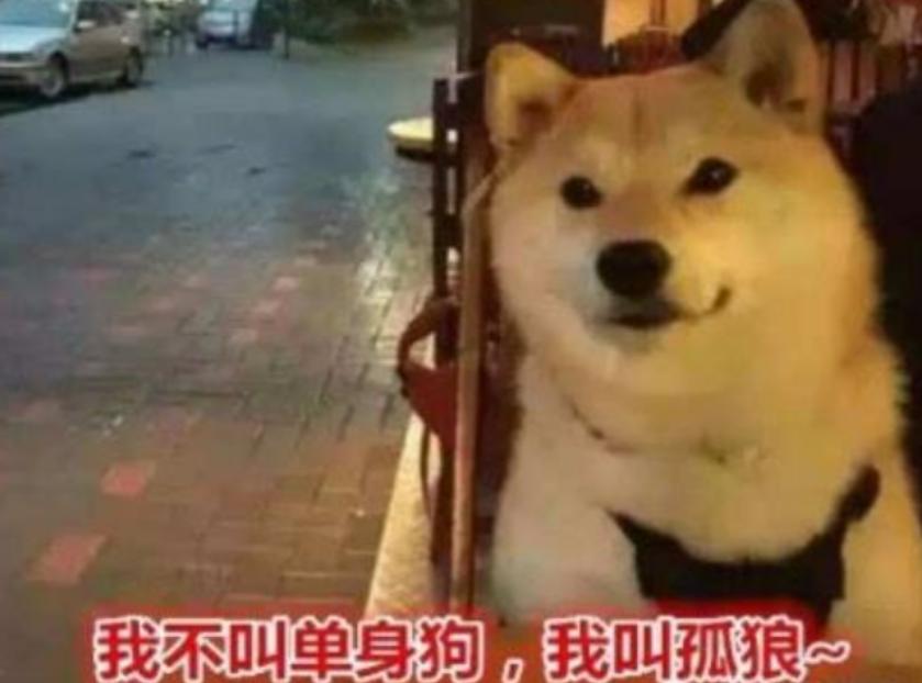 线上狗粮市场分析,狗粮线上市场分析