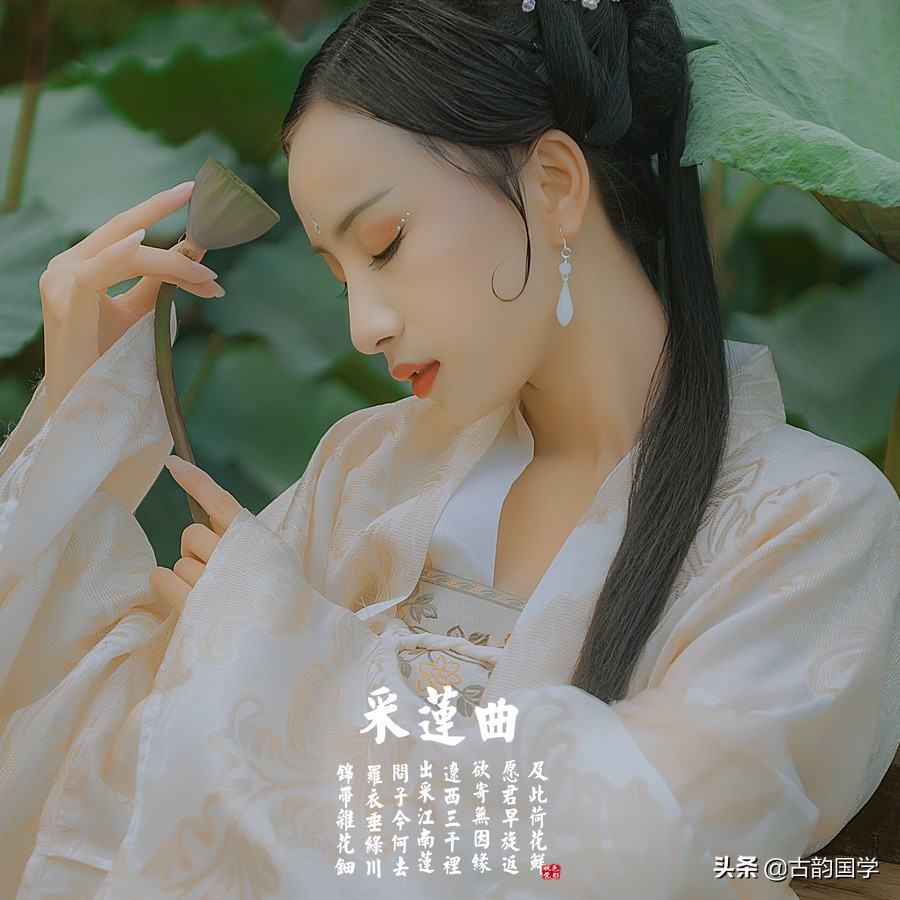 荷花诗词38首,荷花的诗词大全100首