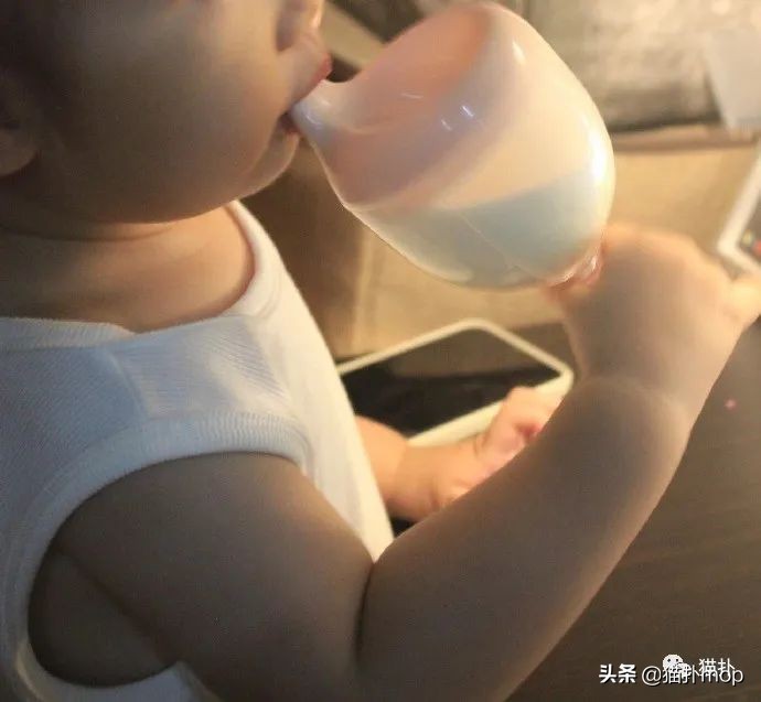 沙雕图|闺蜜是网恋终结者吧？