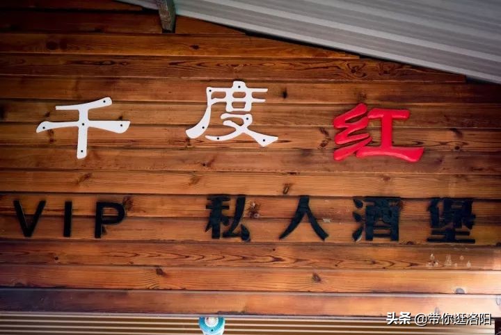 孟津5月采摘园哪个比较好,洛阳采摘攻略