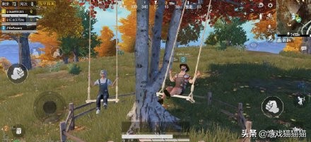 和平精英打卡地点情侣必去,和平精英特训岛的玫瑰花在哪