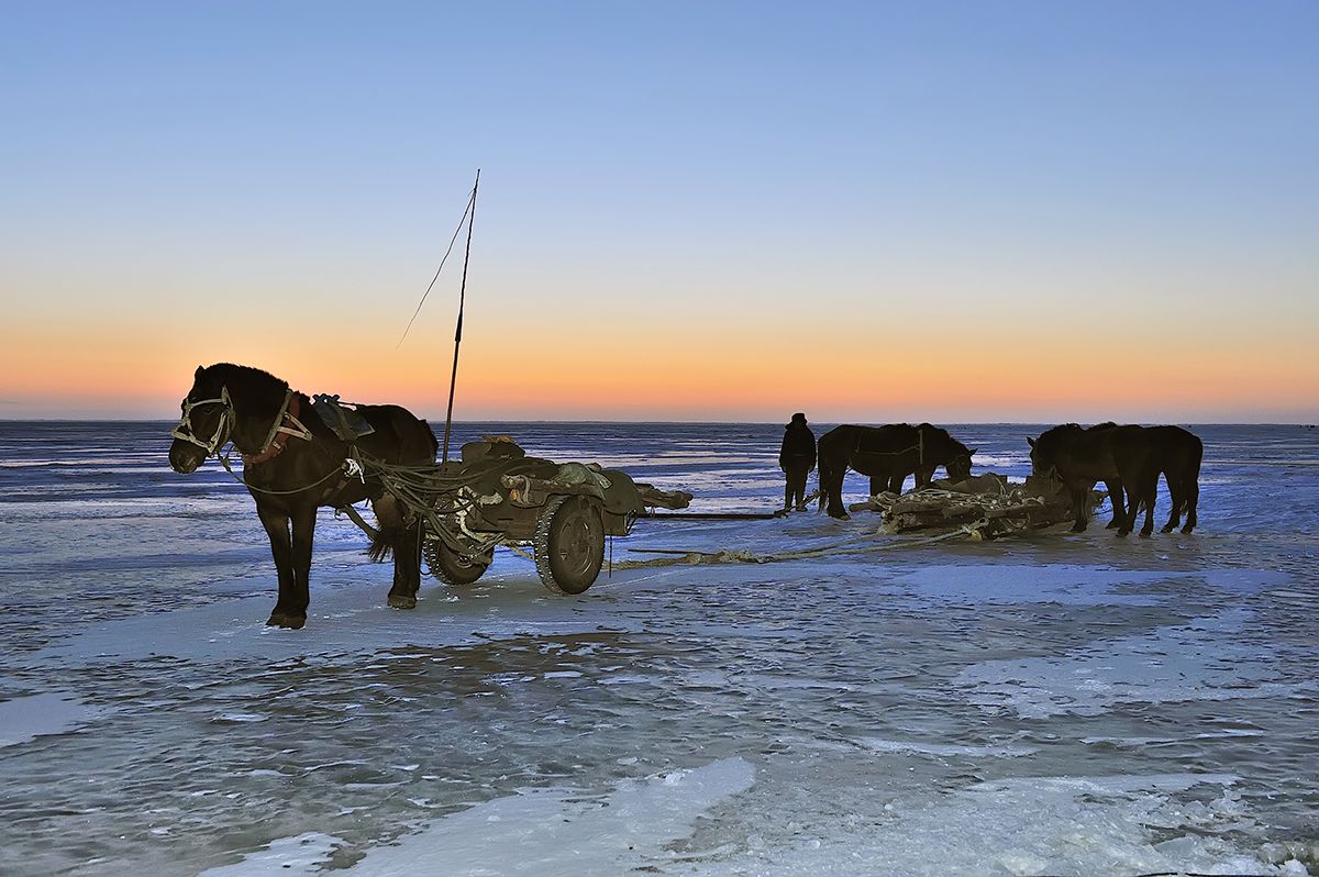 一网捞上2450公斤大黄鱼,一网打捞出957万的鱼