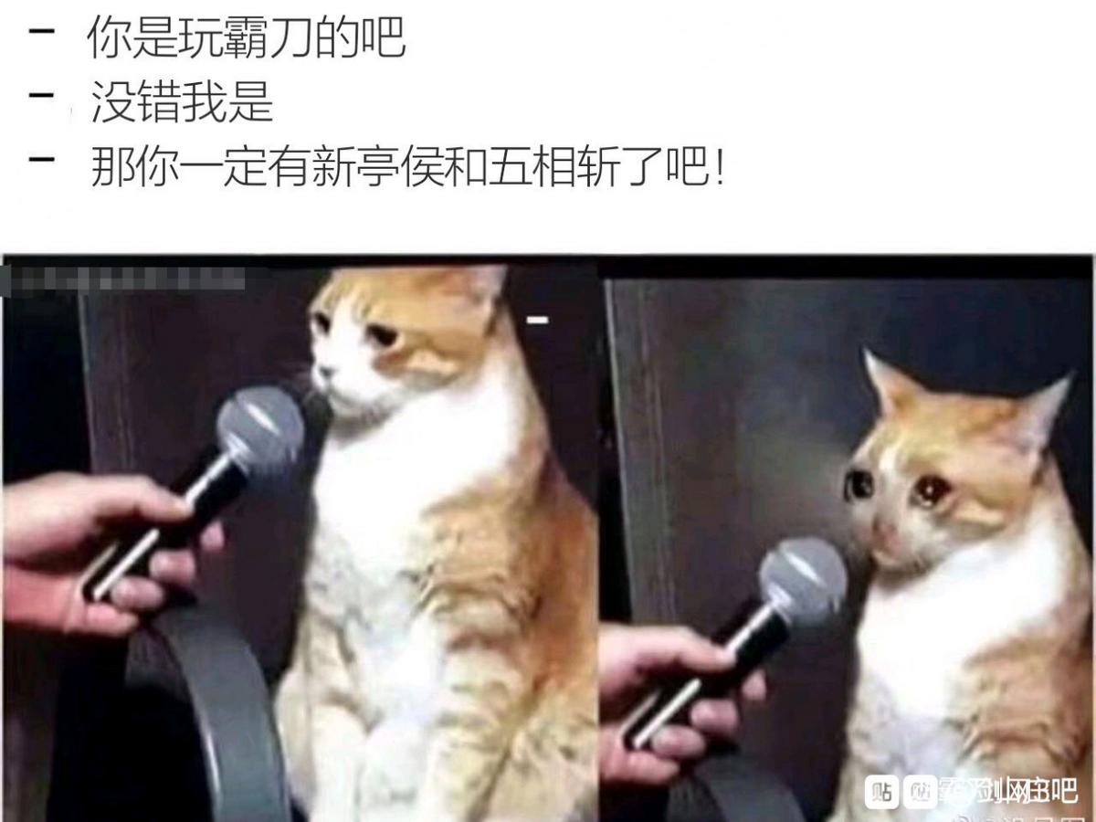 剑网三天策所有橙武图,天策要骑有属性的马吗