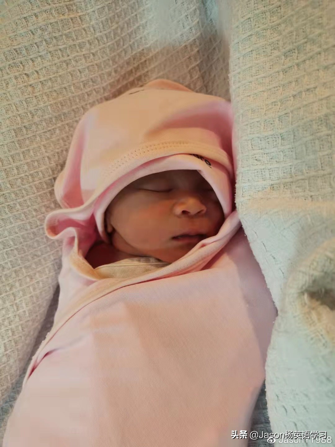 新生命的到来总是让人欣喜,新生命的到来朗读