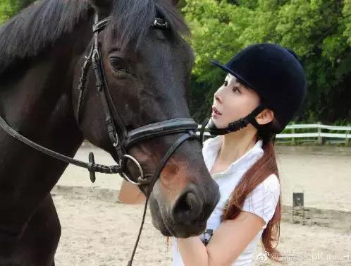 台湾第一美女萧蔷的成名史,台湾第一美女萧蔷现状