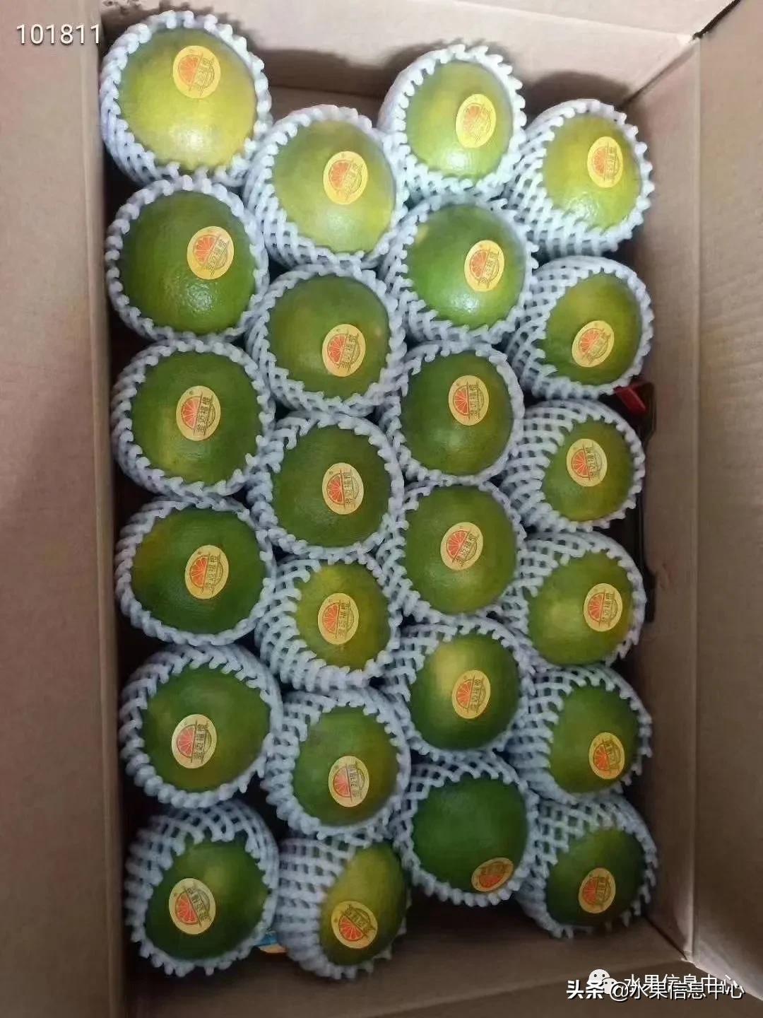 全国橙子产地在哪,中国橙子产地