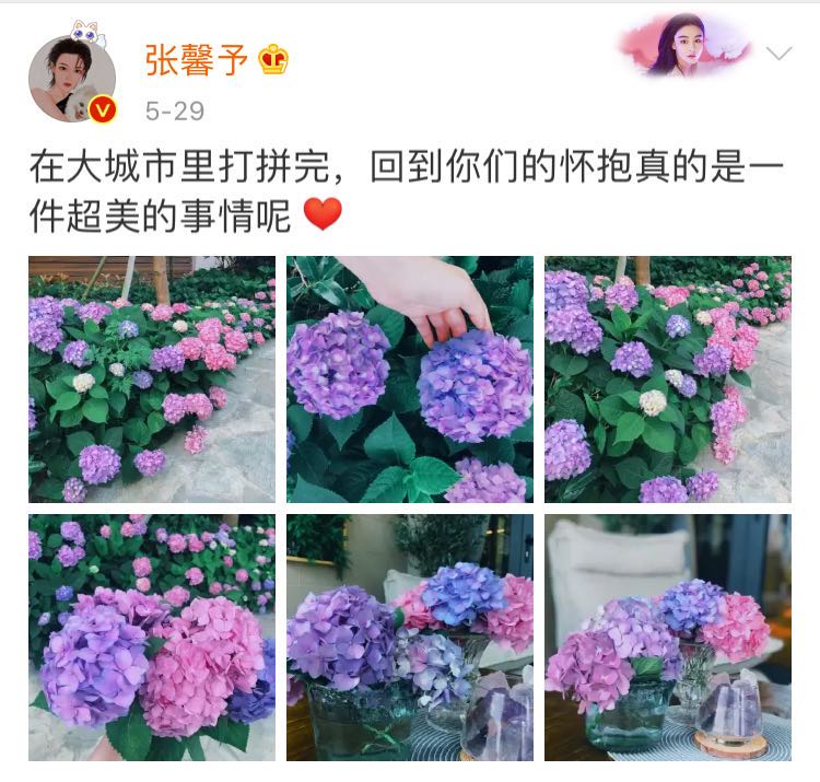 张馨予吴卓羲在一起多久,张馨予吴卓羲谈了几年