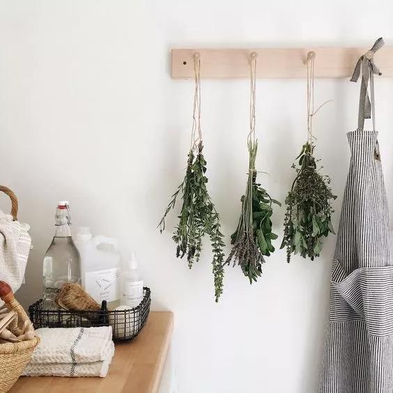 她用这种高颜值的干花装饰家里,隔壁邻居都惊叹不已