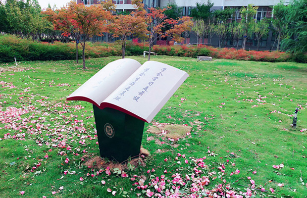 河南这所财经大学的往年录取分析,请速看