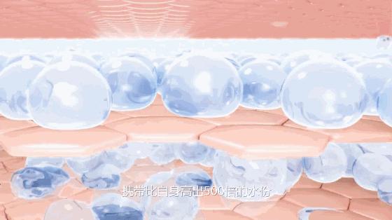 王一博、肖战都在用的防晒喷雾，真的好用吗？