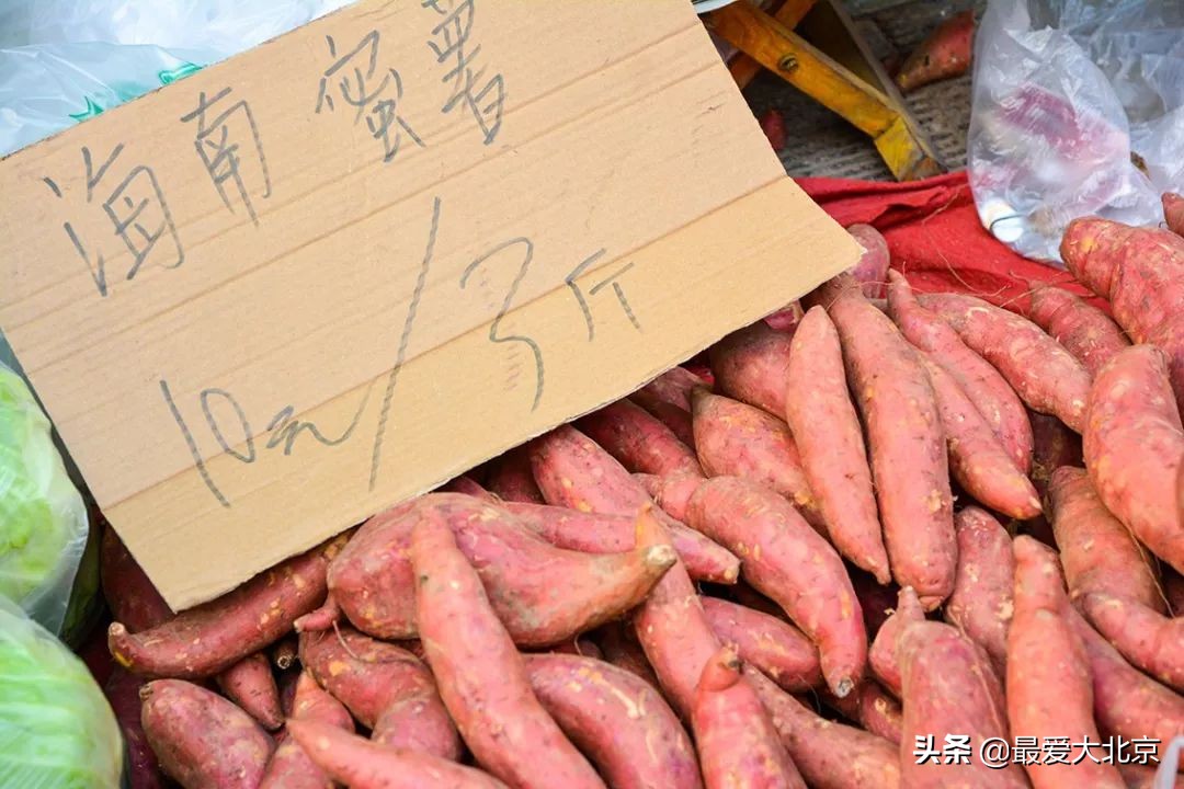 带你逛北京最大早市,北京正宗早市推荐