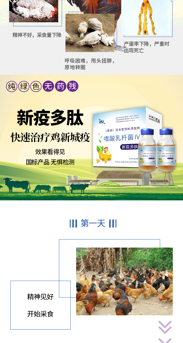 新城疫病毒怎么预防,新城疫病毒发病率