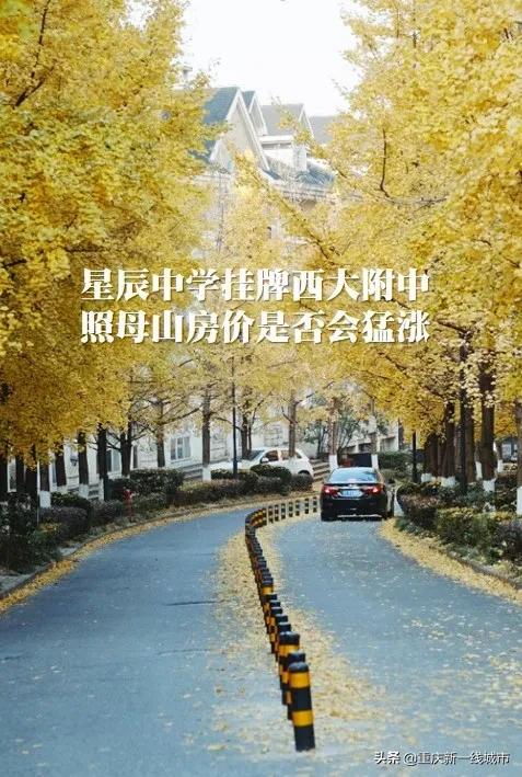 重庆照母山东原星樾房价,重庆照母山降价楼盘