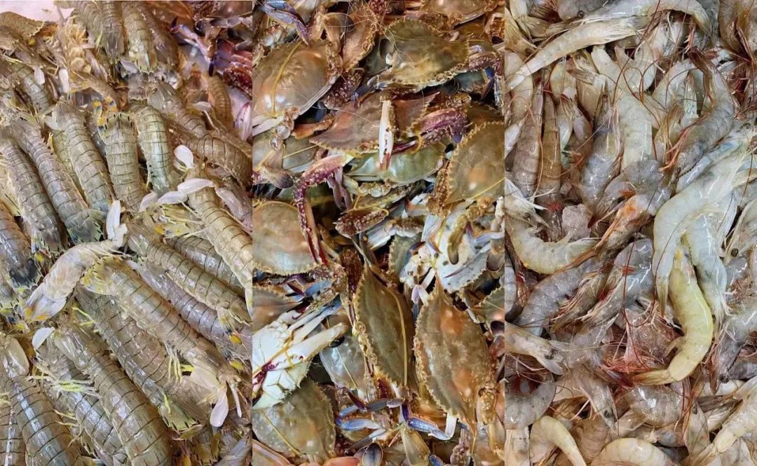 长春十大顶级海鲜自助,长春五星级海鲜自助餐推荐