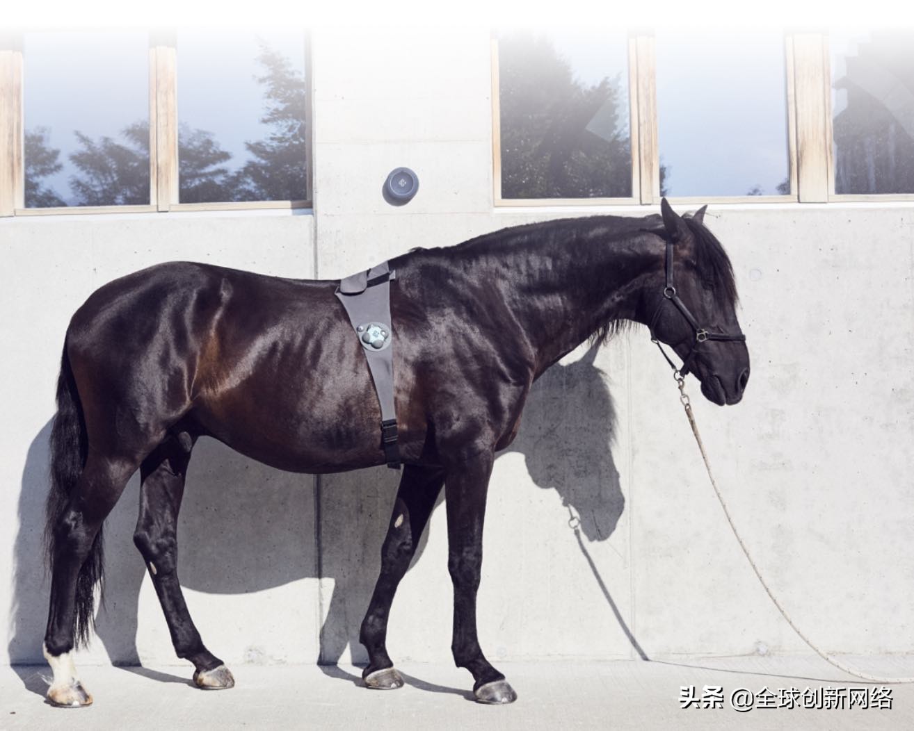 中国十大人工智能科技公司,瑞士十大顶级企业