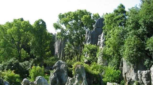 天津旅游攻略自然风景,天津自然风光景点有哪些地方