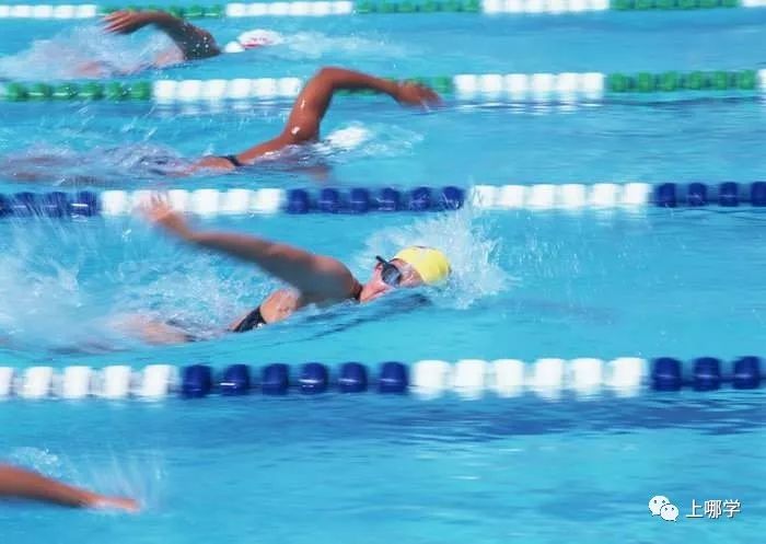 上海10大体育特色学校,上海十大特色中学