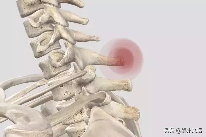 筋膜枪是什么,筋膜枪推荐排行榜前十名