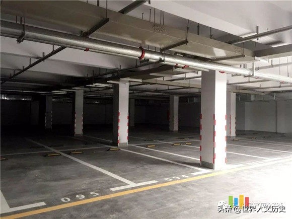 马来西亚女子失踪,马来西亚失踪案件