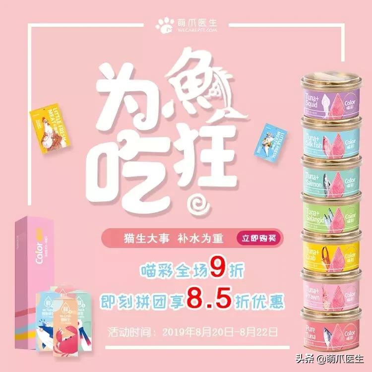 猫咪天天跑去喂鱼,猫咪不吃东西喝汤能喝饱吗