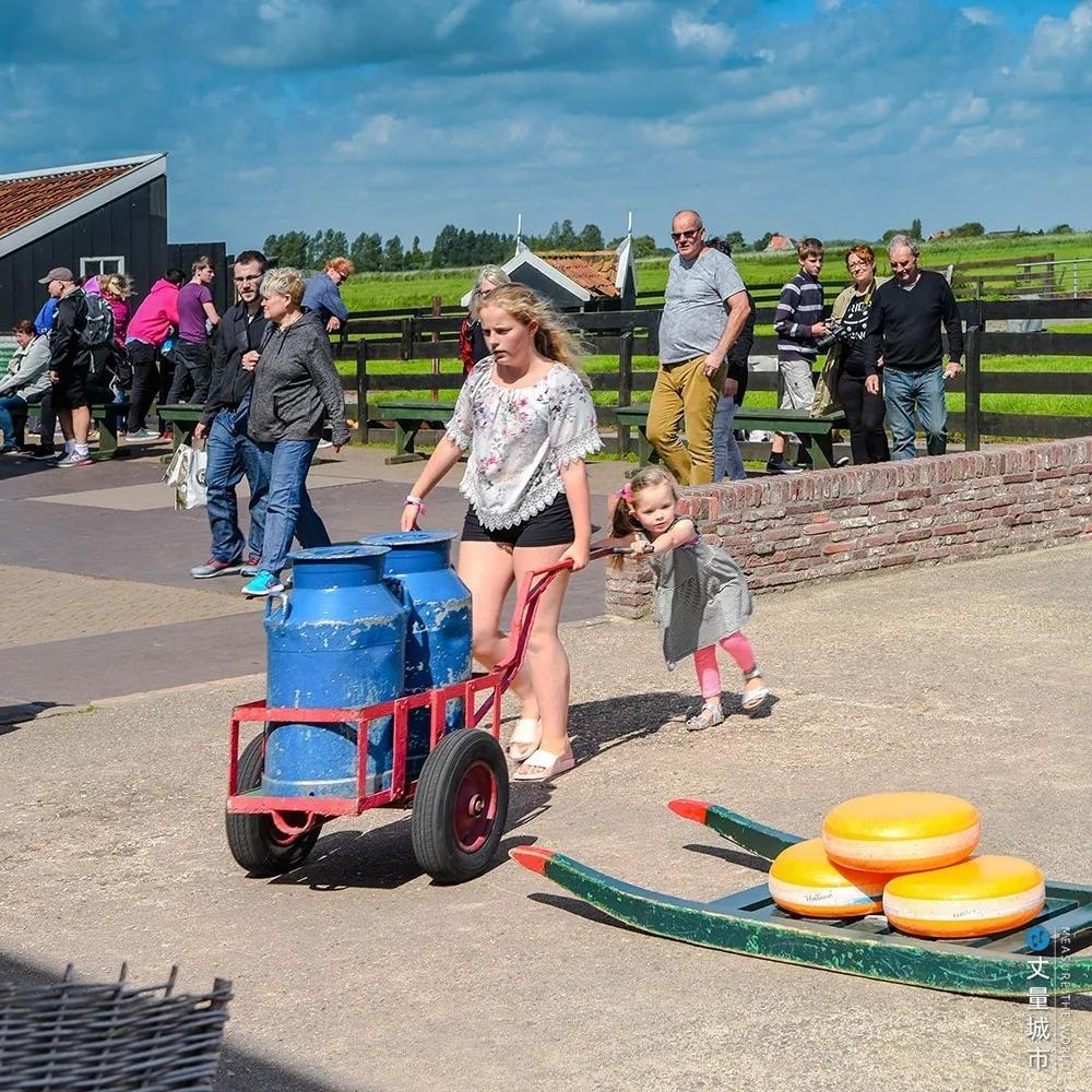 5.16国际牛奶日,每天一杯牛奶强壮中国人