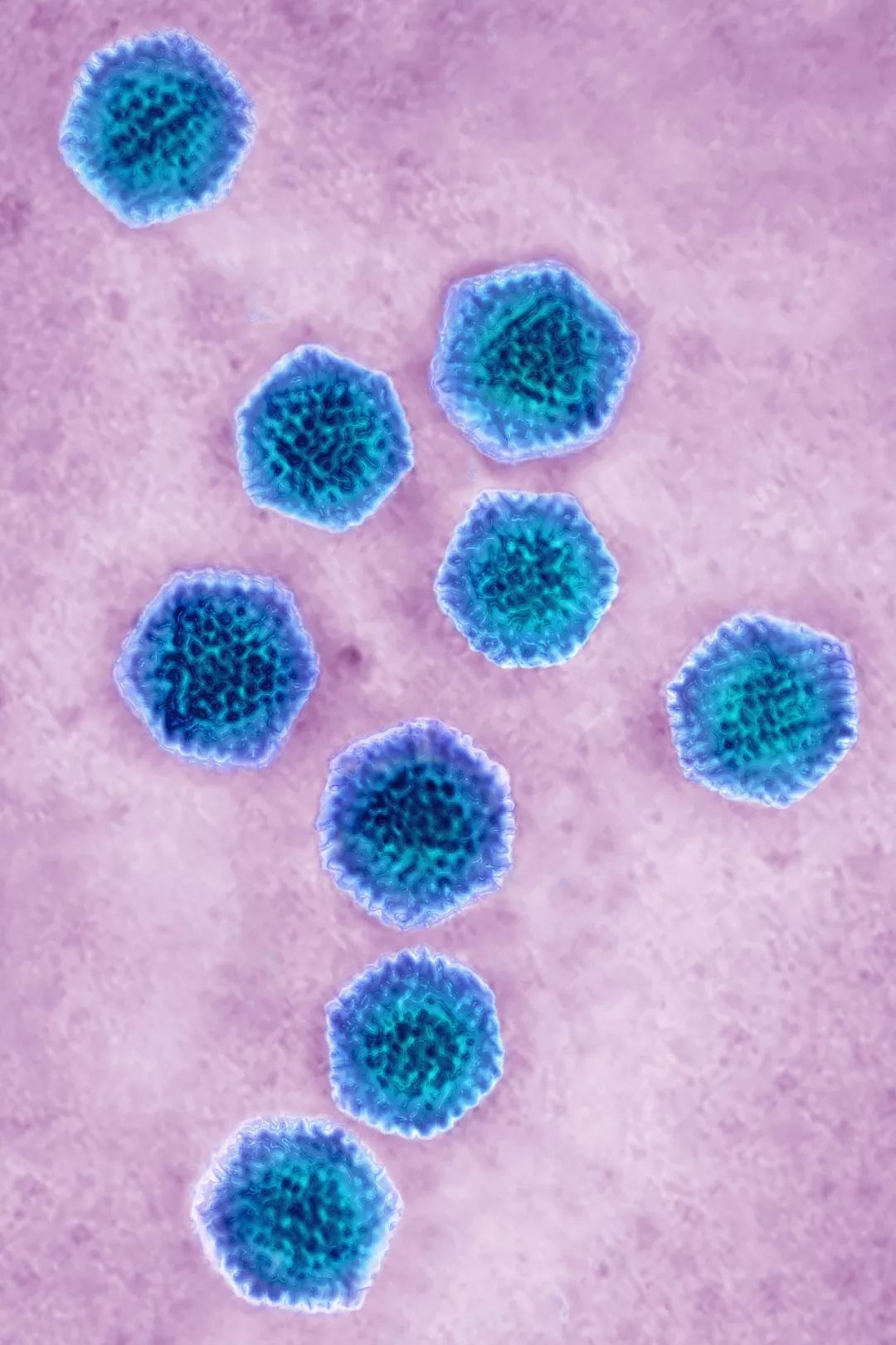 人体防卫战,人体痛点攻击技巧