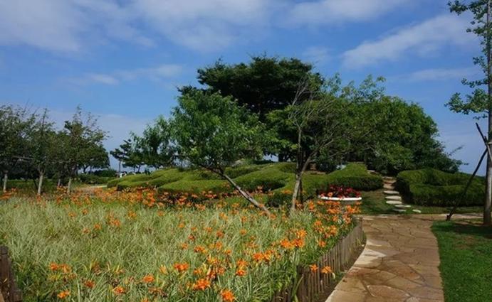 大连滨海路几月最美,大连最美季节