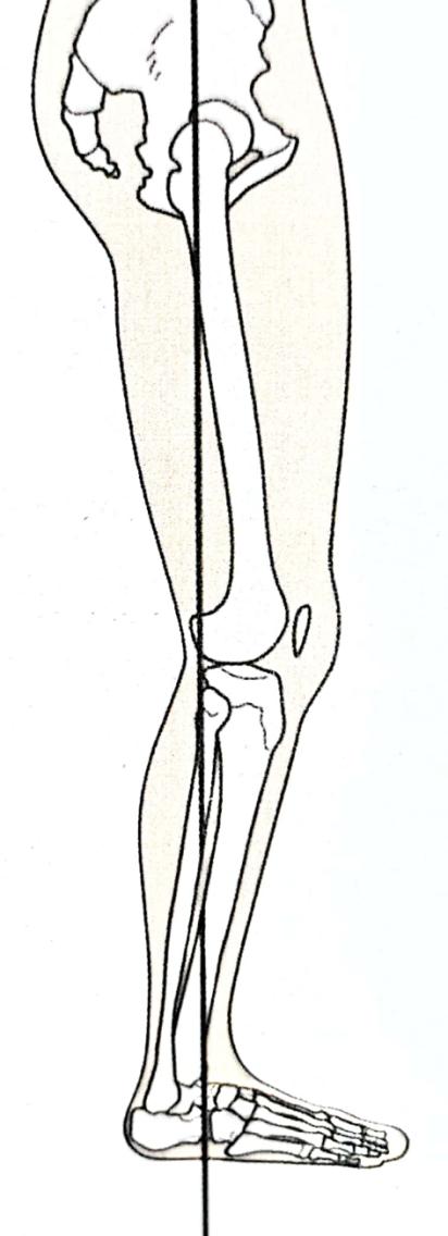 久坐腿关节伸不开怎么回事,久坐膝关节无力活动后恢复