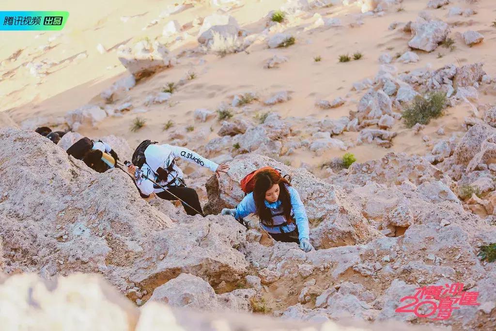 横冲直撞20岁波兰,横冲直撞20岁评价