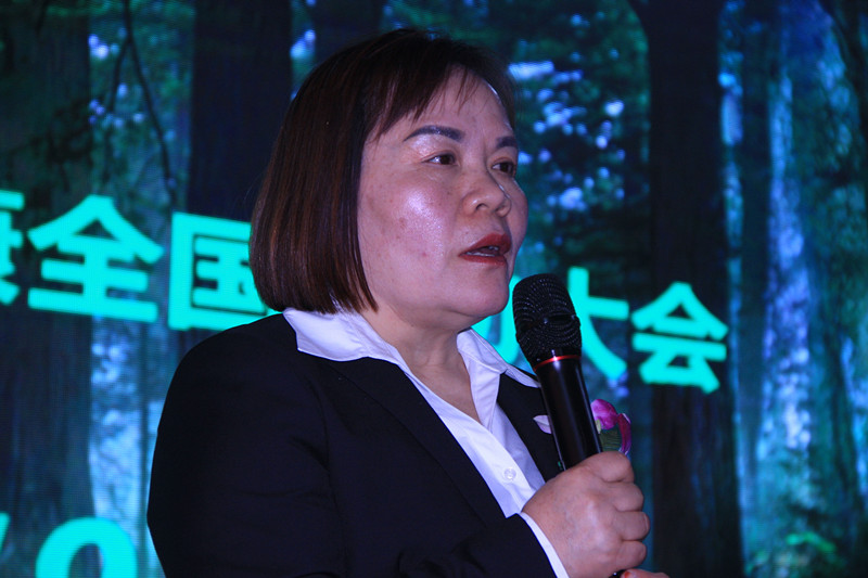 炁能康负离子调养仪的外形,炁能康调养仪v540价格