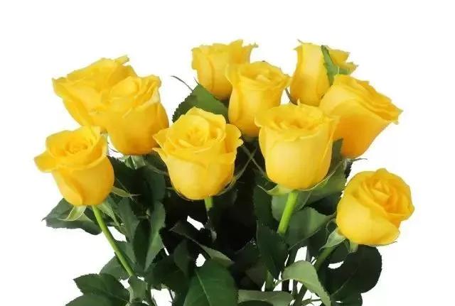 每天学习一点点女性小常识,每天学习一点点科普一下