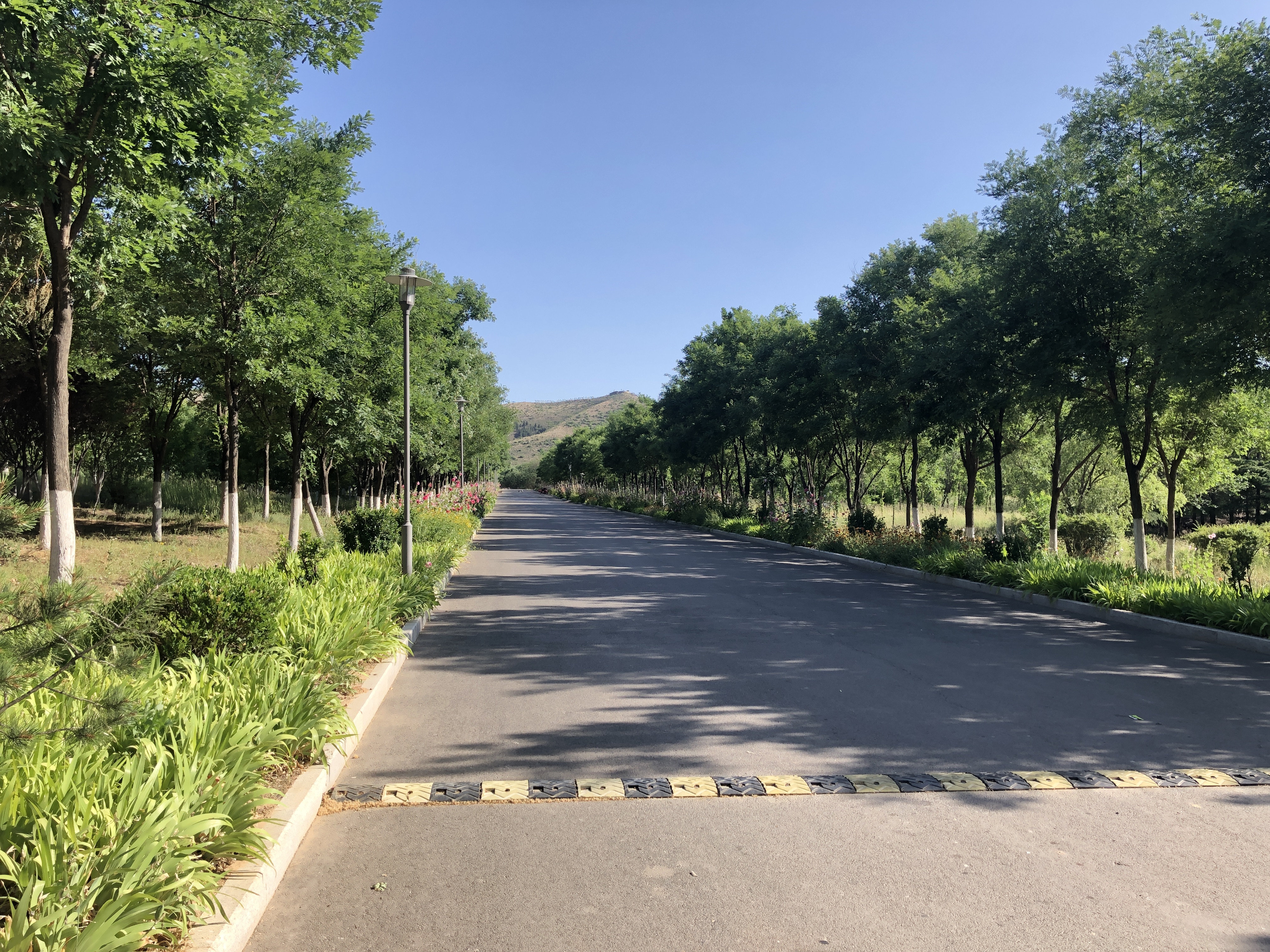 山师最好的大学排名,山师是一所怎样的学校