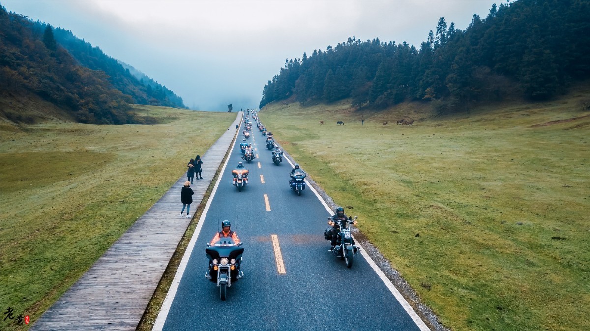 哈雷大军仙女山机车音乐节,武隆仙女山首届哈雷机车文化节