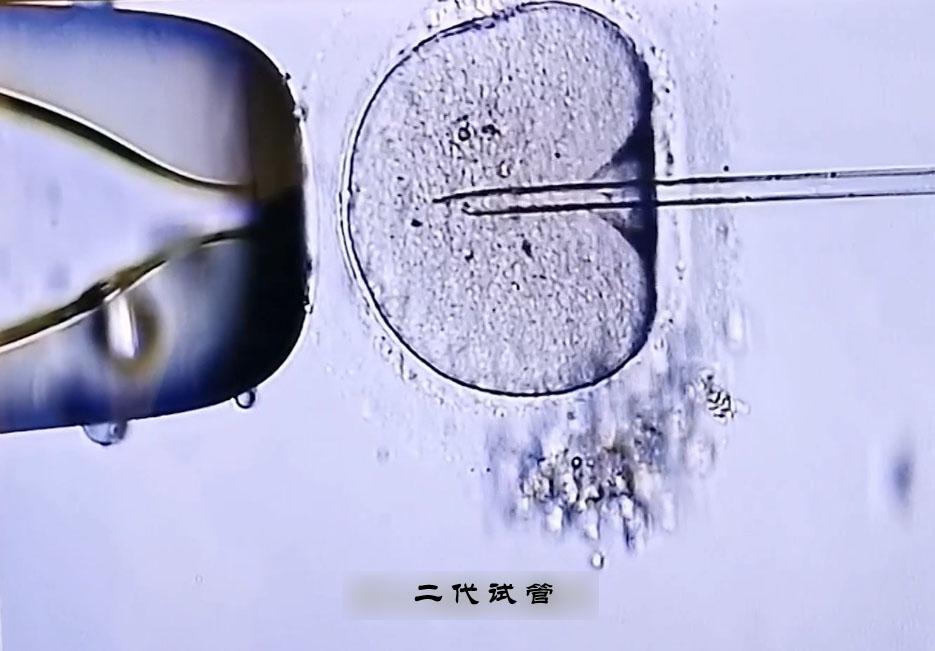 “为生命牵线为幸福做媒”——山东省优秀医师乔鹏云