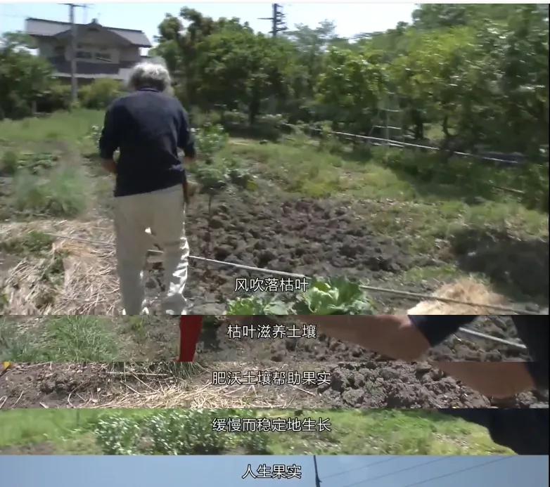 借山而居的内容,借山而居过一生