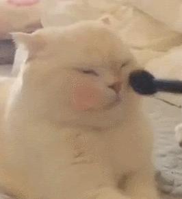 过期护肤品还能继续用吗,过期护肤品用了会烂脸吗