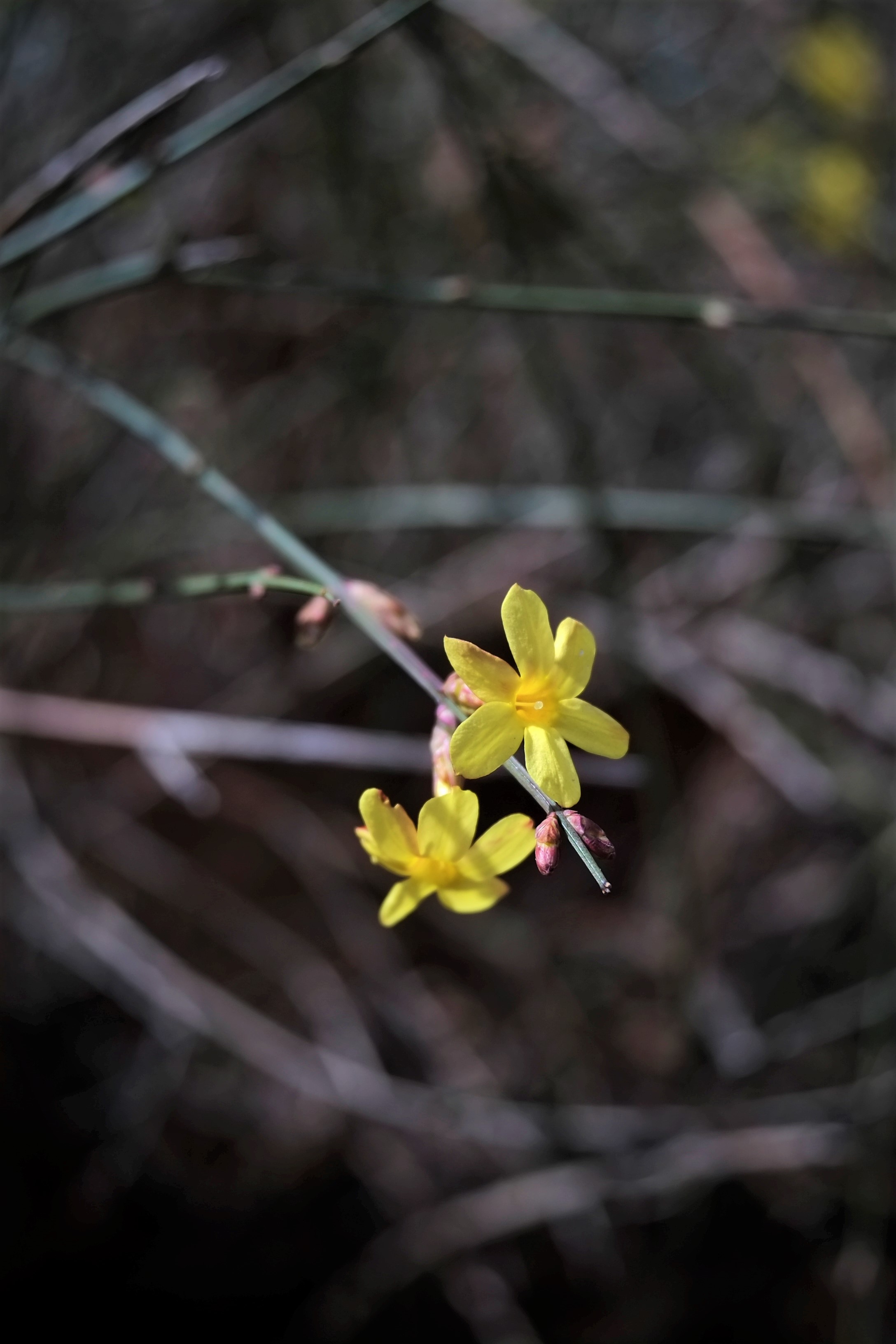 「老相机」照片中毒/二手富士X-PRO1+七工匠25mmF1.8的魅力