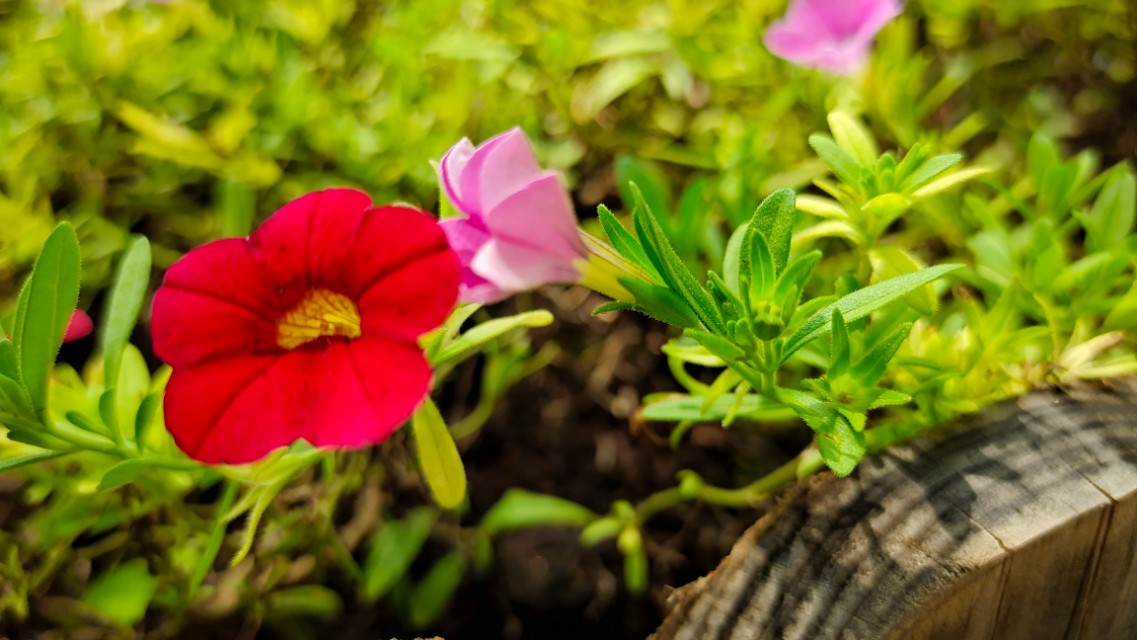 <html>
<head><title>502BadGateway</title></head>
<body>
<center><h1>502BadGateway</h1></center>
<hr><center>nginx</center>
</body>
</html>
<!--apaddingtodisableMSIEandChromefriendlyerrorpage-->
<!--apaddingtodisableMSIEandChromefriendlyerrorpage-->
<!--apaddingtodisableMSIEandChromefriendlyerrorpage-->
<!--apaddingtodisableMSIEandChromefriendlyerrorpage-->
<!--apaddingtodisableMSIEandChromefriendlyerrorpage-->
<!--apaddingtodisableMSIEandChromefriendlyerrorpage-->
