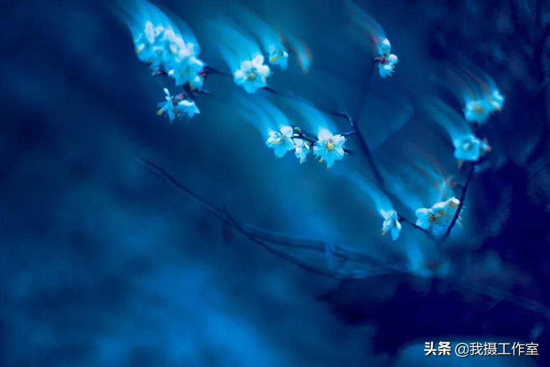 第16届国际摄影艺术展获奖作品,第29届全国摄影艺术展览作品集