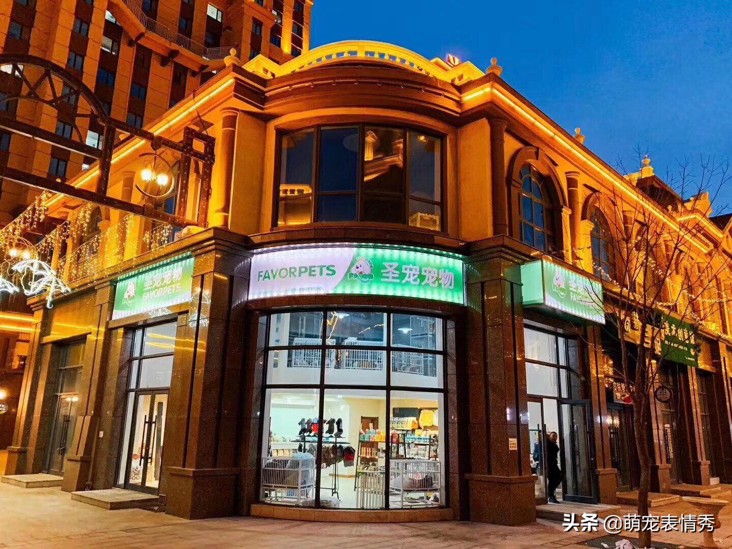 宠物店加盟排行哪家好,常熟市宠物店免费加盟