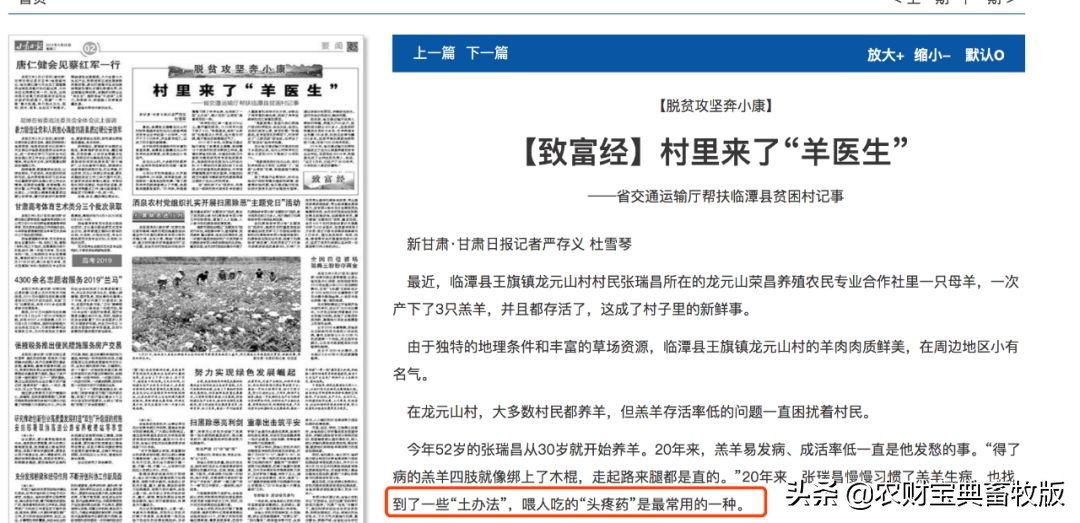 警醒！羔羊生病喂人吃的“头疼药”是“土办法”？实则违法