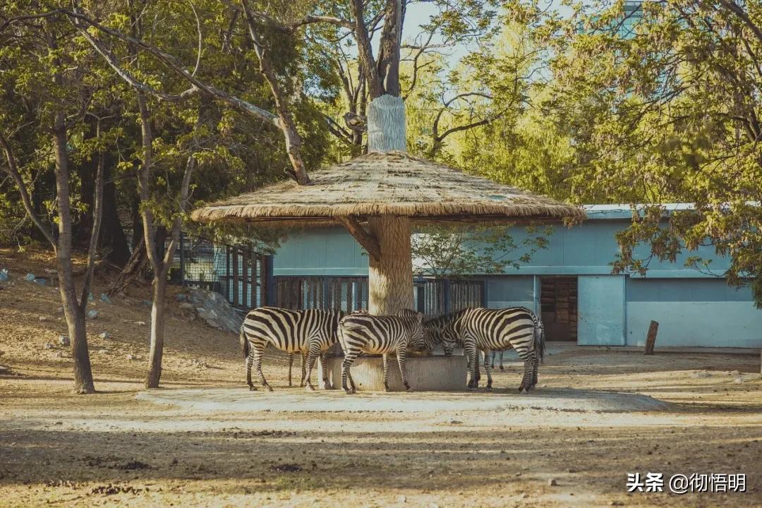 北京旅游地铁详细攻略最新,乘坐地铁游北京攻略4天