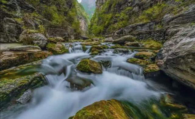 咏柳智永千字文,咏柳书法千字文