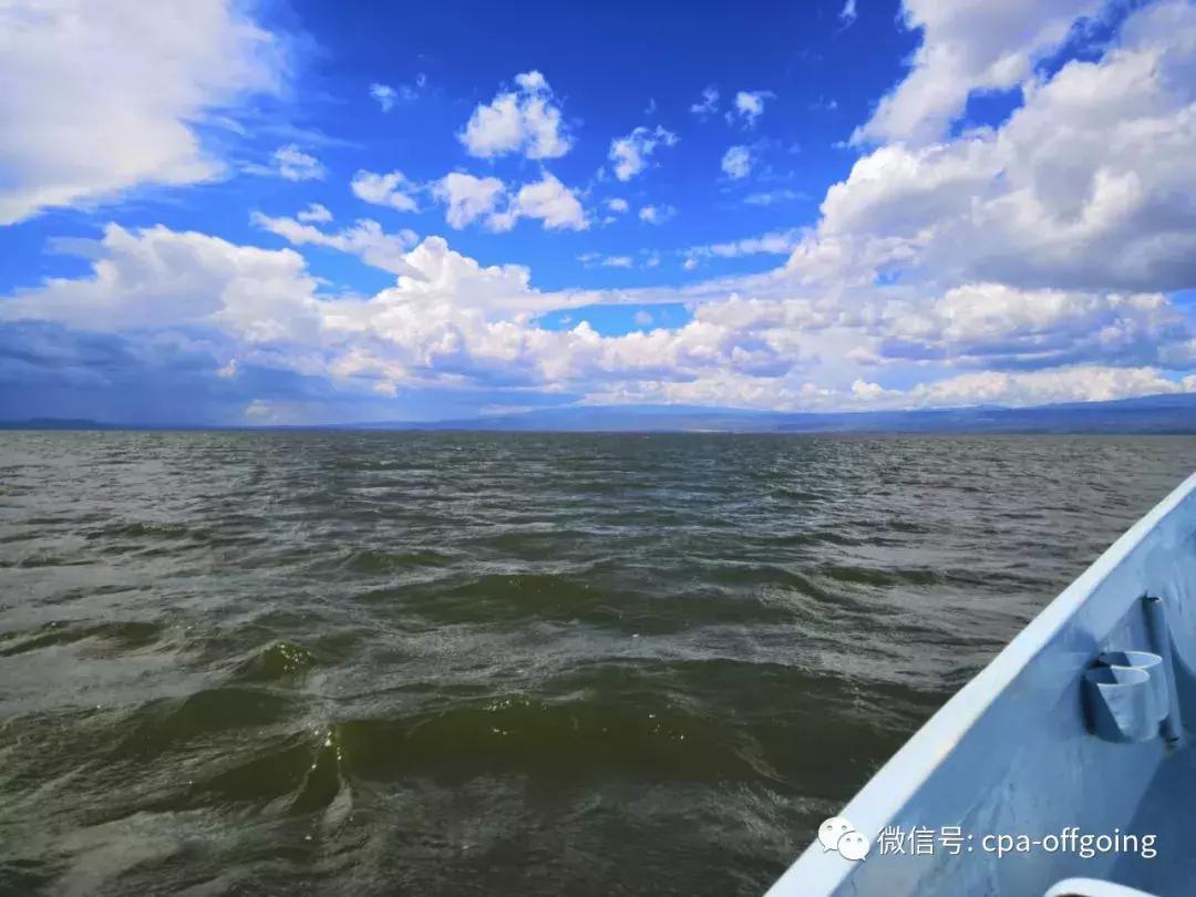 这个野奢的国度,欧美、日韩人都爱去,为何我们国家没人去?